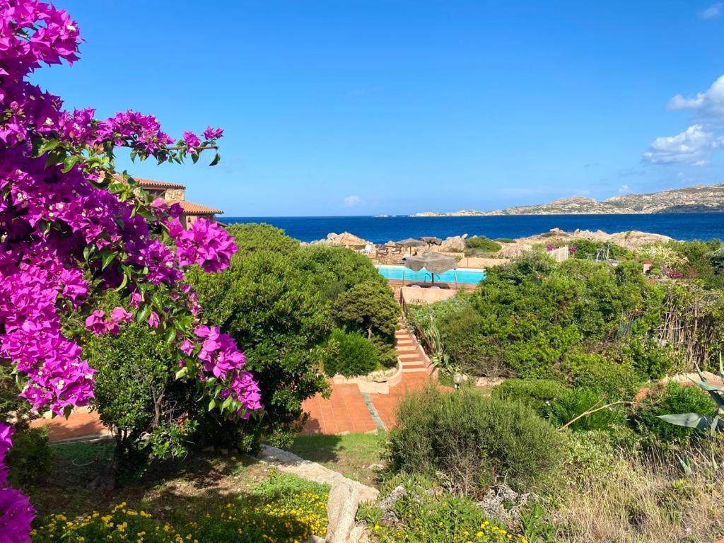 Vila Casa Mughetto R5055 Seafront, Private Sea Access, Swimming Pool La Maddalena  Exteriér fotografie