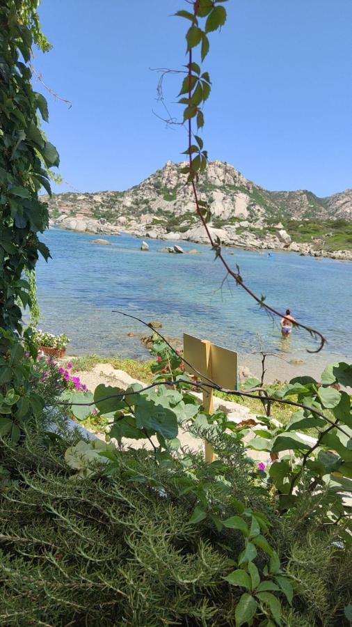 Vila Casa Mughetto R5055 Seafront, Private Sea Access, Swimming Pool La Maddalena  Exteriér fotografie